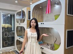 -青奢宠物·青奢猫舍