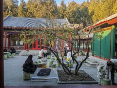 -宫事颐庭·老佛爷贵寿下午茶(颐和园店)