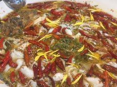 -新太二·鲜料川菜(晶耀前滩店)