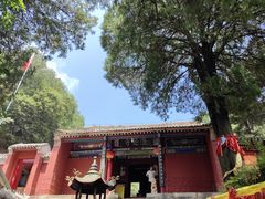 -少华山国家森林公园