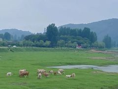 -嵖岈山风景区