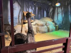 -酷嗒动物文化乐园(cutezoo西溪乐天城店)