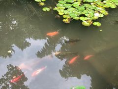 -杭州黄龙洞