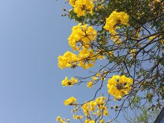 -成都南湖公园