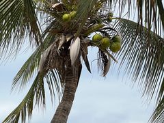 -三亚西岛海洋文化旅游区