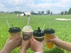 -云漫湖生态度假公园