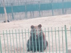 -秦皇岛野生动物园