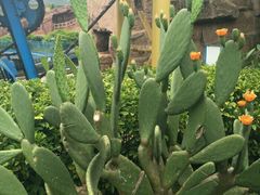 -世界恐龙谷景区