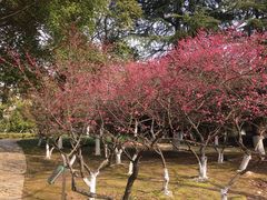 -白塘生态植物园