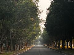 -福建鲤鱼洲酒店