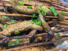 -晓靖轩烧烤(沙河风情店)