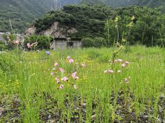 -孟屯河谷景区