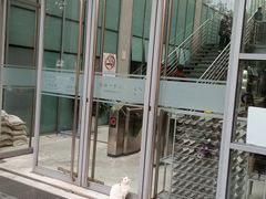 -同济大学（四平路校区）-图书馆