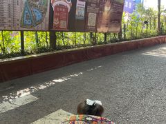 -长鹿旅游休博园