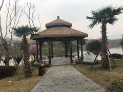 -枫香湖儿童公园