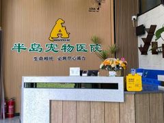 -半岛宠物医院24小时·内窥镜·牙科·碎石中心(府城大道店)