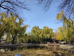 -玲珑塔公园