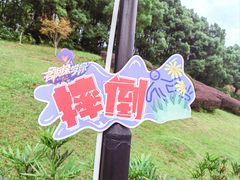 -圣爵菲斯大酒店(长沙世界之窗店)