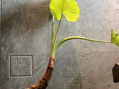 -王府茶宴(大观园总店)
