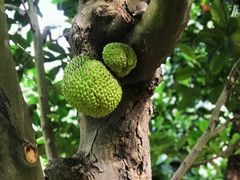 -南通洲际绿博园