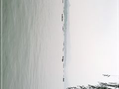 -西湖外事游船(湖滨二公园外事游船码头)