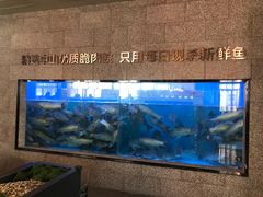 水产区-淘米捞·米汤脆鲩鱼火锅(福田皇岗店)