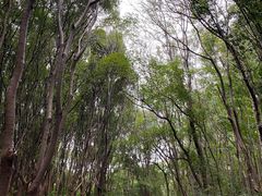 -同里国家湿地公园