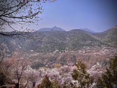 -居庸关长城