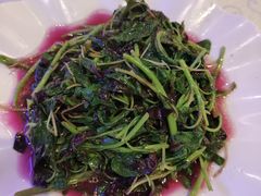 -阿英煲(凉城路店)