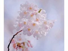 -上海外滩雅致酒店