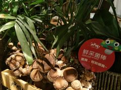 -大头椰·椰子鸡火锅(南宁万象城店)