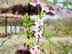 -武汉紫薇都市田园