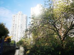 -苏州河梦清园环保主题公园