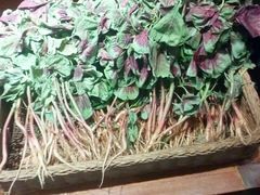 -黔蘑菇四季餐厅(观山湖店)