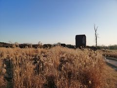 -良渚古城遗址公园