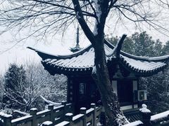 -上海佘山国家森林公园西佘山园