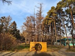 -长春市南湖公园