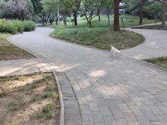 -南长河公园