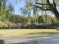 -西泠印社