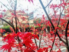 -同济大学(地铁站)