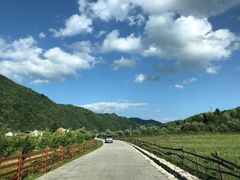 -黑河国家森林公园