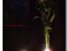 烛台&鲜花-花马天堂云南餐厅 Lost Heaven(高邮路店)