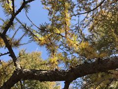 -白草畔自然风景区