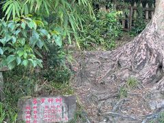 -海南热带雨林国家公园吊罗山景区