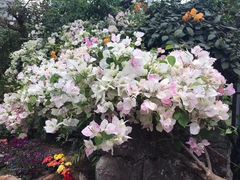 -南通洲际绿博园