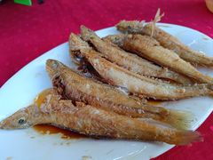 -蛇口康乐快餐鱼仔档(翠苑小区店)