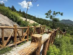 -白水寺森林公园