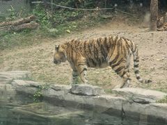 -深圳野生动物园