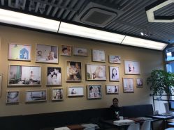 -WPlus明星肖像亲子全家福摄影