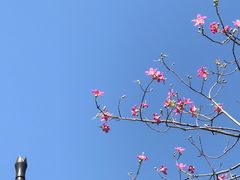 -广州从化都喜泰丽度假温泉酒店